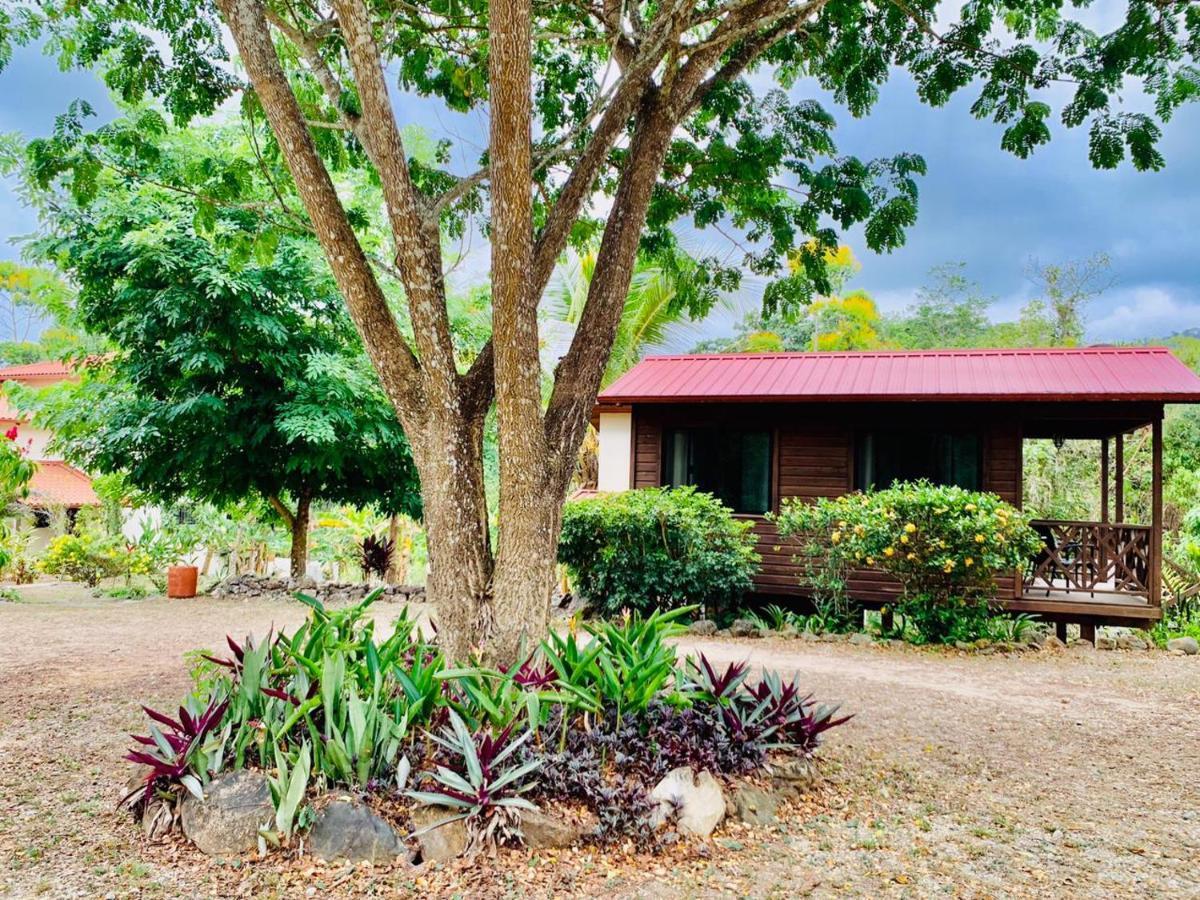 Sattva Land Hotell Belmopan Exteriör bild