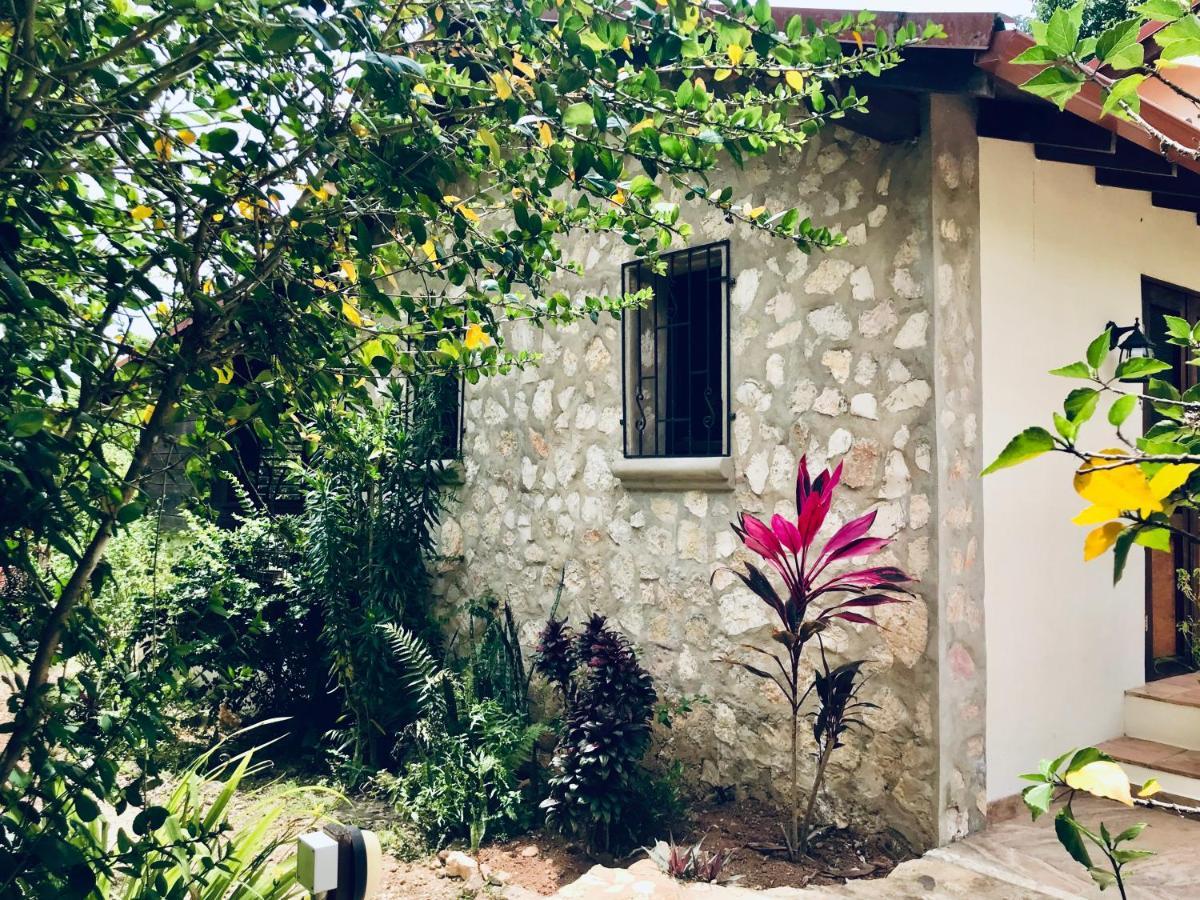 Sattva Land Hotell Belmopan Exteriör bild