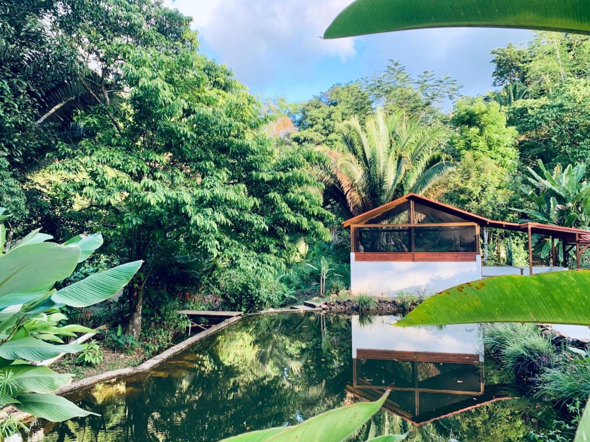 Sattva Land Hotell Belmopan Exteriör bild